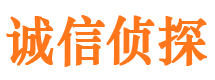 湖南市私家侦探